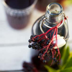 Purple Sea Moss Gel infused with Elderberry & Echinacea